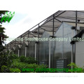 Polycarbonate Greenhouse